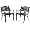 Cast Aluminum Patio Chairs Set of 2 Dining Chairs with Armrests Diamond Pattern